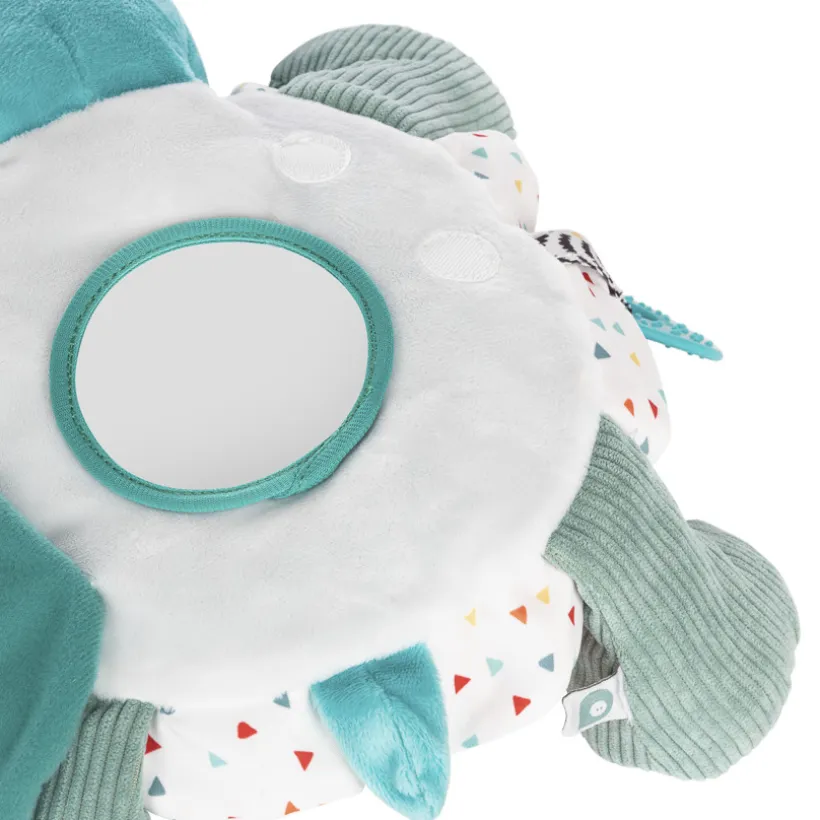 Activiteitenknuffel Sacha de schildpad