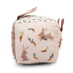 Activiteiten Kubus Carrot Thief 0-24m