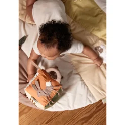 Activiteiten Kubus Carrot Thief 0-24m