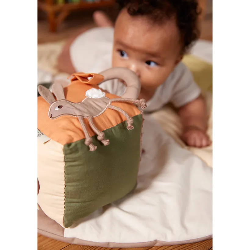 Activiteiten Kubus Carrot Thief 0-24m