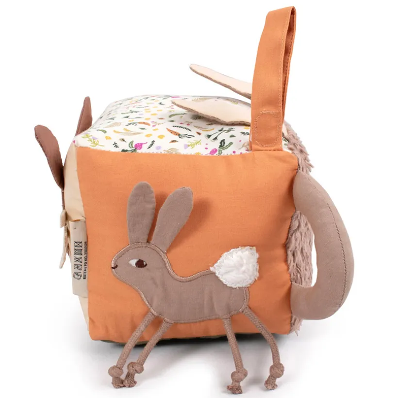 Activiteiten Kubus Carrot Thief 0-24m