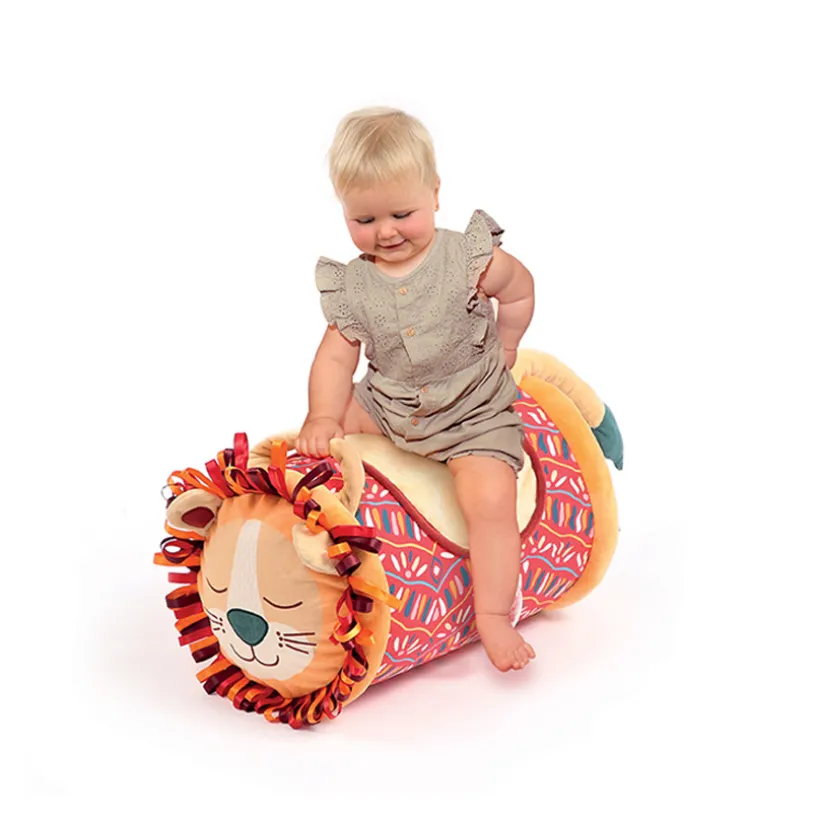 Activiteiten Roller Leeuw