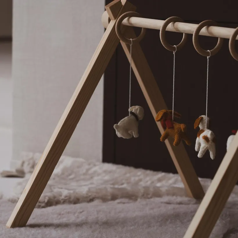 Activity toy set Activity Arch niet inbegrepen 5 stks Hondjes