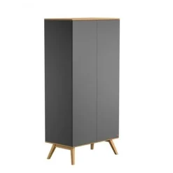 Armoire 2 portes Nature - Graphite / Bois