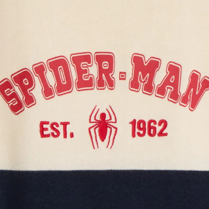 Bicolore Spider-Man Marvel trui jongens