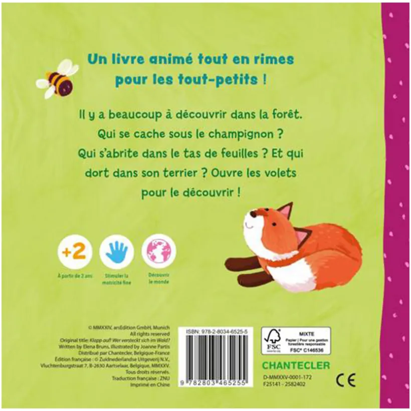 Boek FR Cherche avec nous dans la forêt +2J