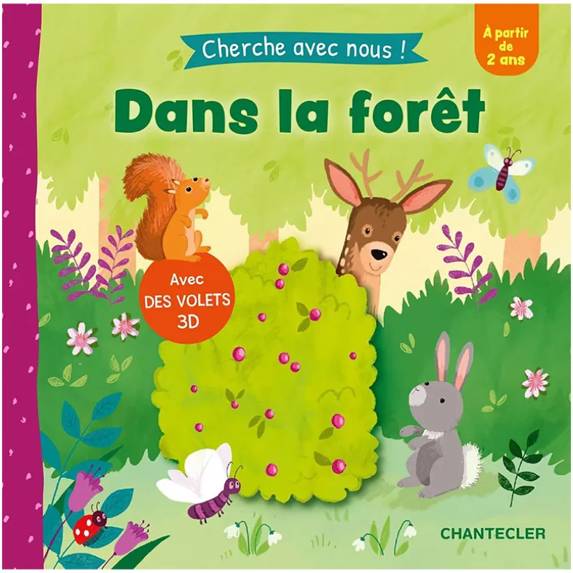 Boek FR Cherche avec nous dans la forêt +2J