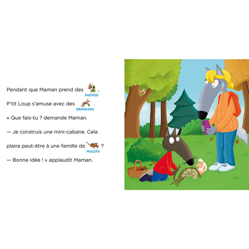 Boek FR P'tit Loup se balade en forêt 3jaar+