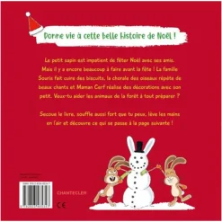 Boek FR Secoue le petit sapin de Noël +3J