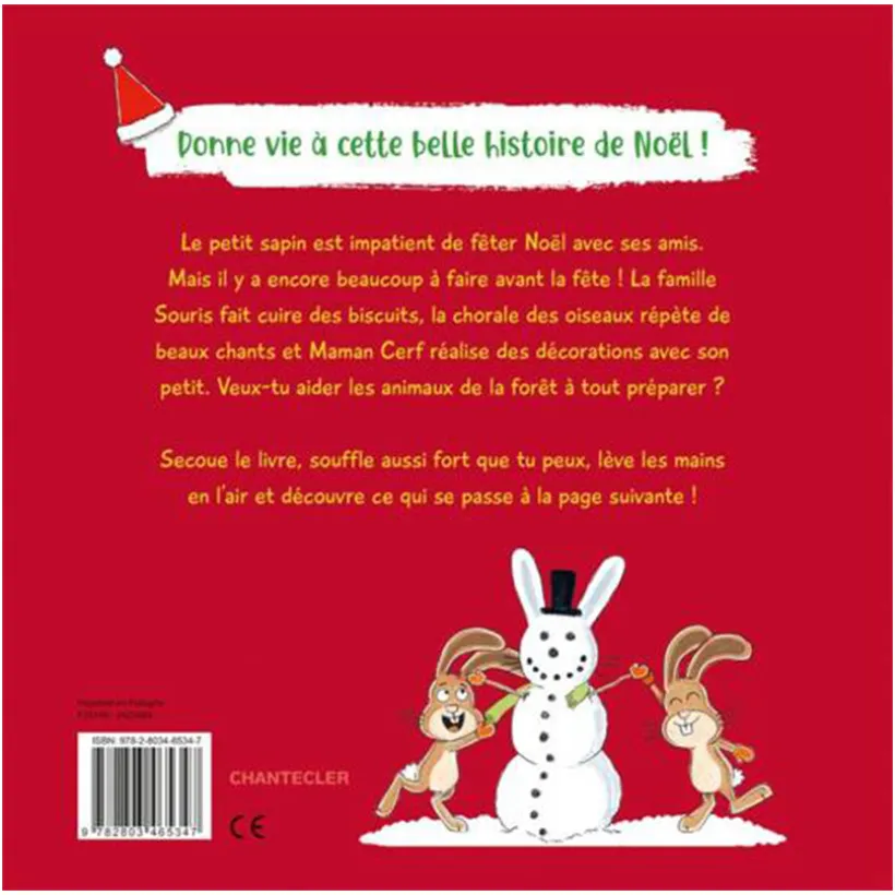 Boek FR Secoue le petit sapin de Noël +3J