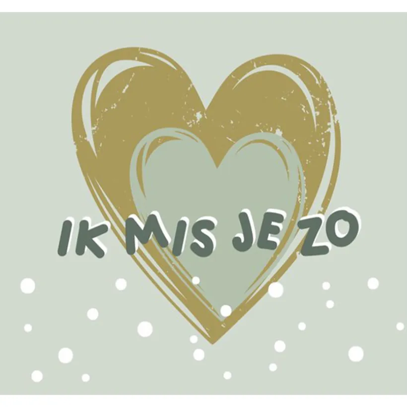Boek Ik mis jou zo "Nederlands" Zacht Groen