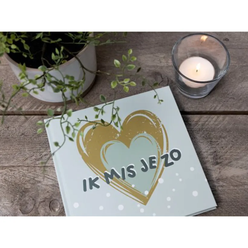 Boek Ik mis jou zo "Nederlands" Zacht Groen