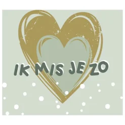 Boek Ik mis jou zo
