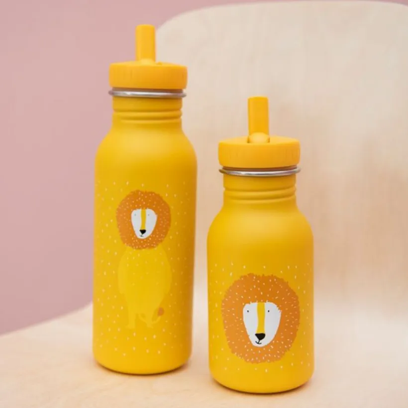 Drinkfles 500ml - Mr Leeuw