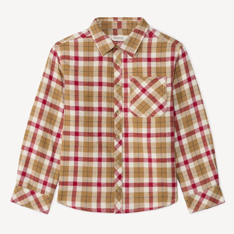 Hemd met lange mouwen in flanel, met all-over ruitpatroon, jongens