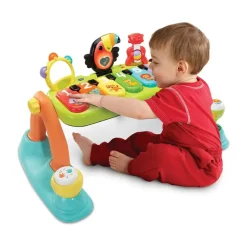 5-in-1 Muzikale Babygym FR