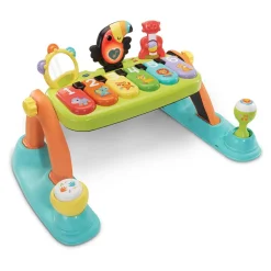 5-in-1 Muzikale Babygym NL