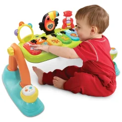 5-in-1 Muzikale Babygym NL