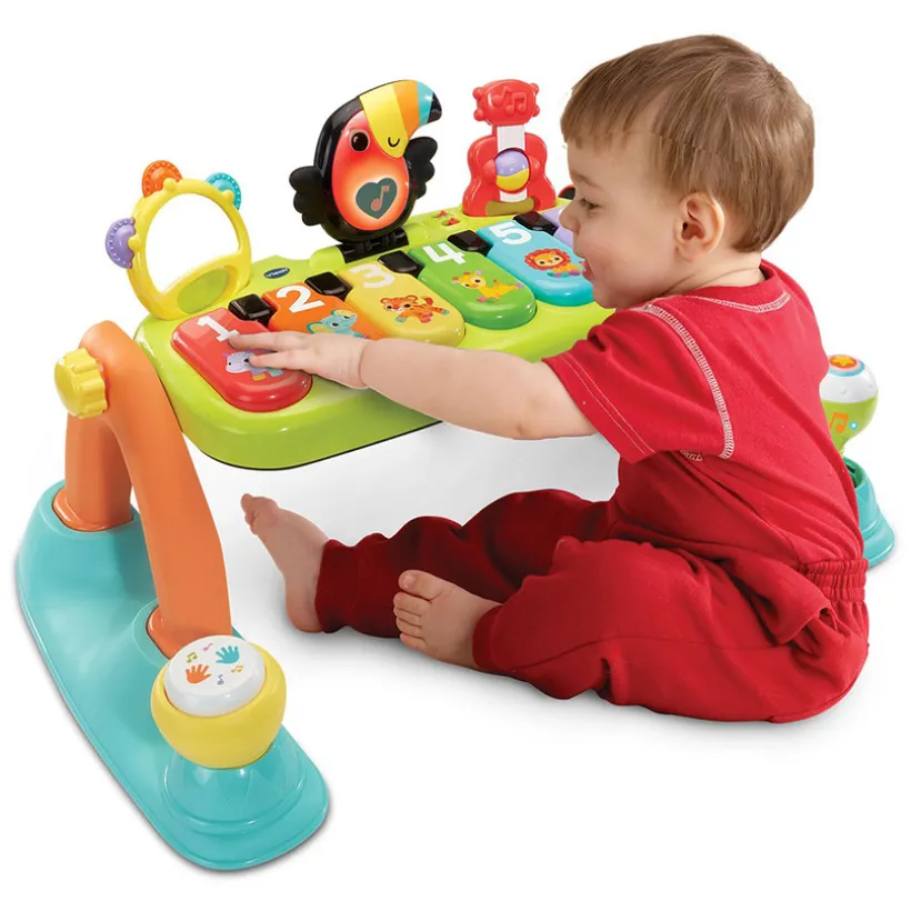 5-in-1 Muzikale Babygym NL