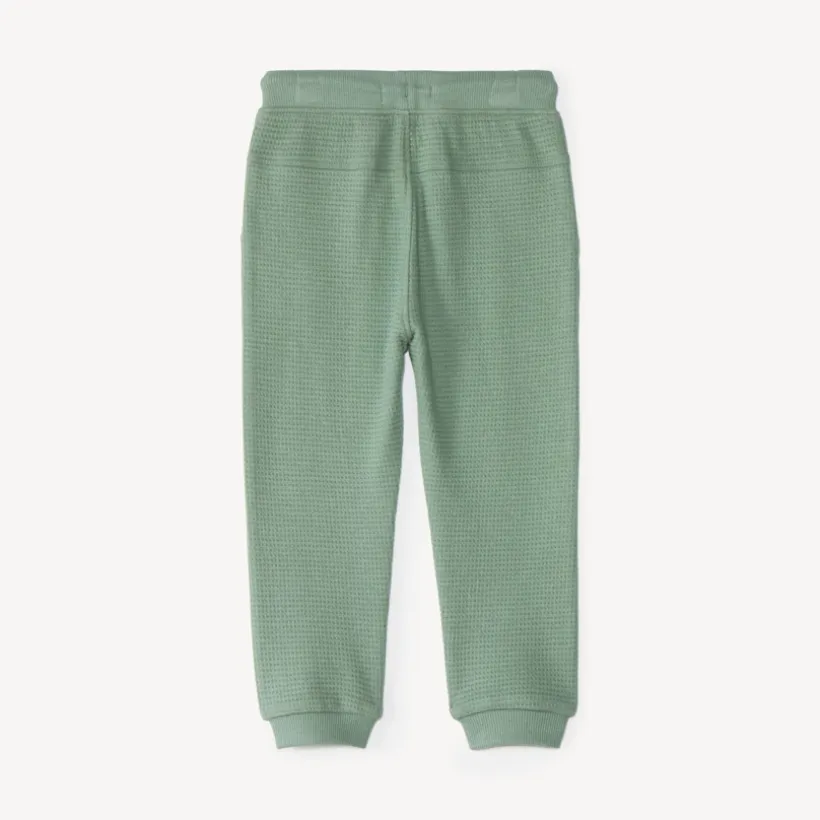 Joggingbroek voor babyjongen van honingraatstof met teddybeerprint