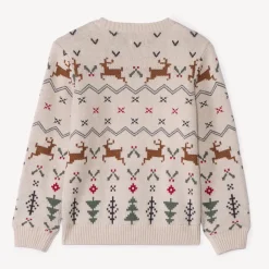 Kerst gebreide jacquard trui jongens