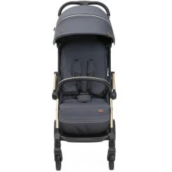 Kinderwagen Goody XPlus dark shadow met verstelbare rugleuning