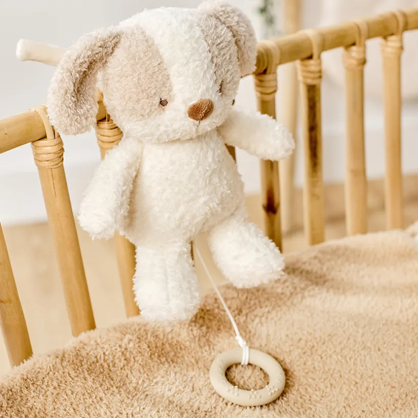 Knuffel baby hond - 25 cm - Fanfan - Teddy ecru