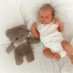 Knuffelbeer nachtlampje 5-in-1 met natuurlijke warmtekruik Bruin