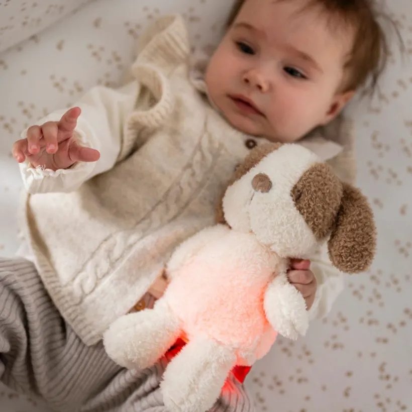 Knuffel hond nachtlamp - Teddy - Vanille