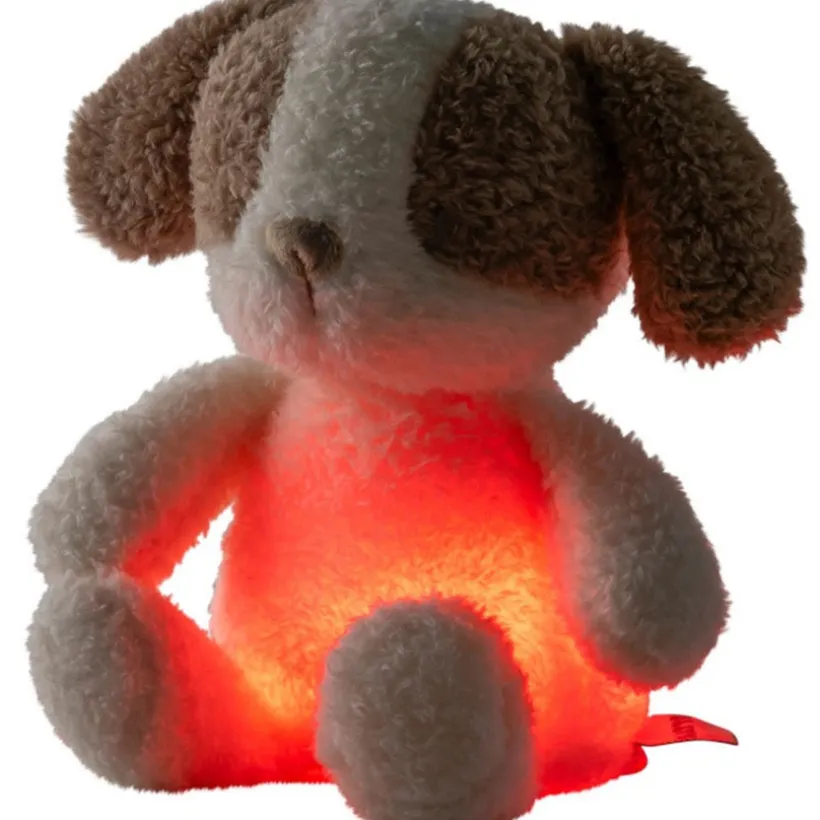 Knuffel hond nachtlamp - Teddy - Vanille