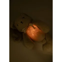 Knuffel konijn met witte ruis , melodie en nachtlampje Sand