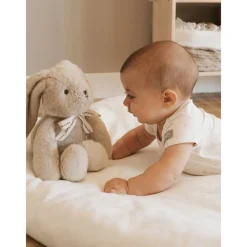 Knuffel konijn met witte ruis , melodie en nachtlampje Warm Grey