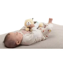Knuffel opwarmbaar Teddybeer