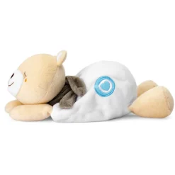 Knuffel opwarmbaar Teddybeer