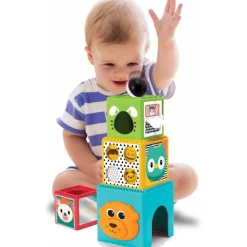 Koala Happy Hoops 2-in-1 ballen en kubussen 12m+