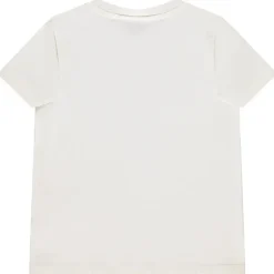 Korte mouwen Superman Warner T-shirt voor jongen
