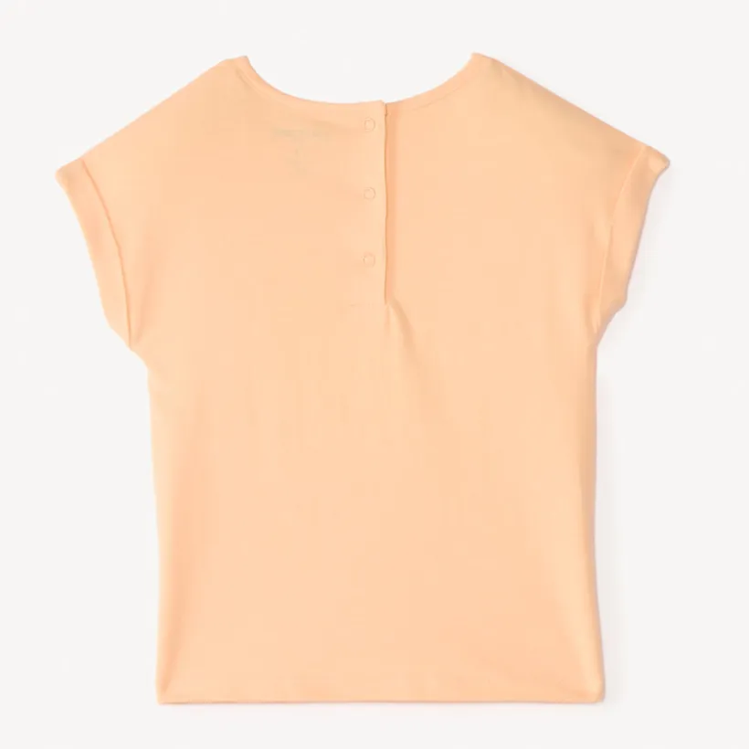 Korte mouwen T-shirt met een geborduurd bloemenpatch voor babymeisjes