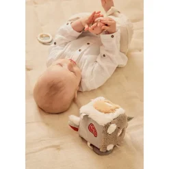 Kubus multi-activiteiten Fluffy Orso Lily