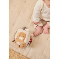 Kubus multi-activiteiten Fluffy Orso Lily