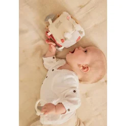 Kubus multi-activiteiten Fluffy Orso Lily