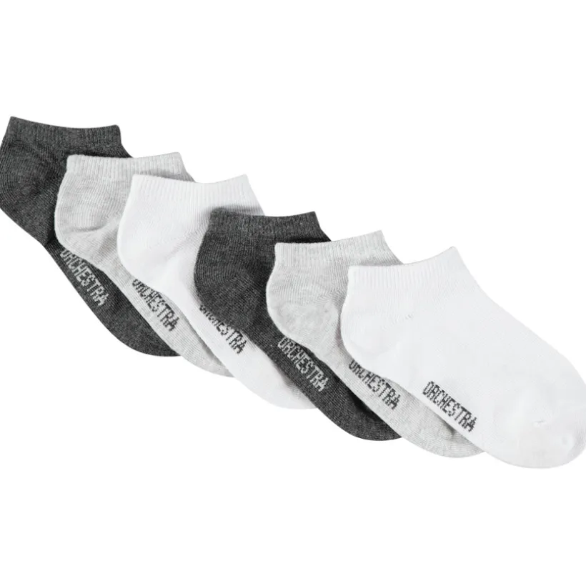 Lot de 6 paires de chaussettes courtes unies