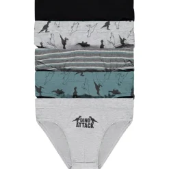 Lot de 5 slips en jersey print dinosaures garçon