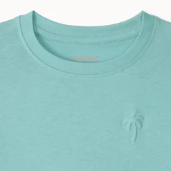 Lot de 3 t-shirt manches courtes uni avec print palmier garçon
