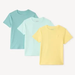 Lot de 3 t-shirt manches courtes uni avec print palmier garçon