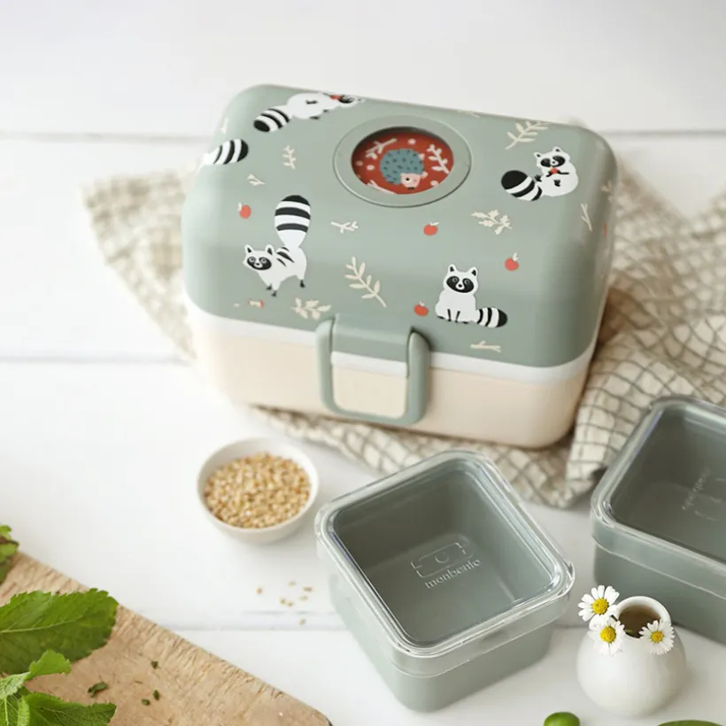 Lunchbox Tresor Raccoon 800ml