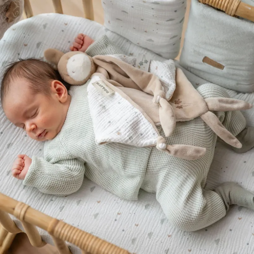 Maxi knuffeldoekje Ezel 60cm