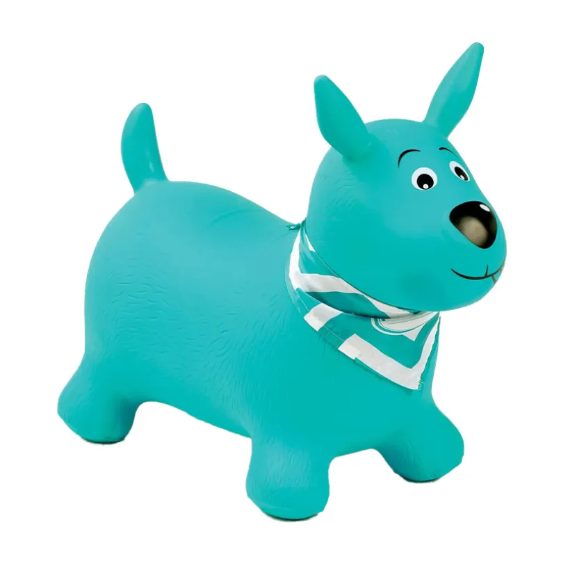 Mijn turquoise springende hond