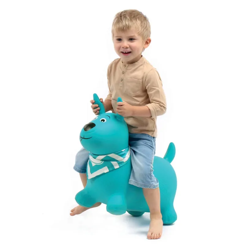 Mijn turquoise springende hond