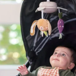 Muzikale tuinmobiel