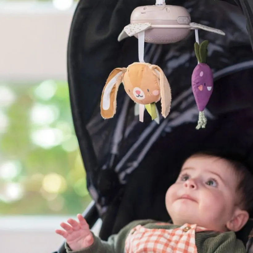 Muzikale tuinmobiel
